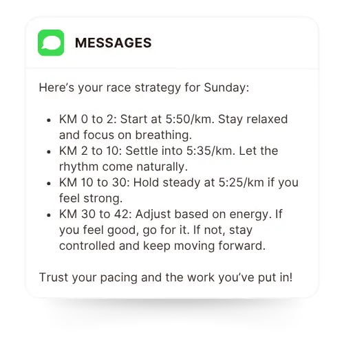 Race strategy planning example